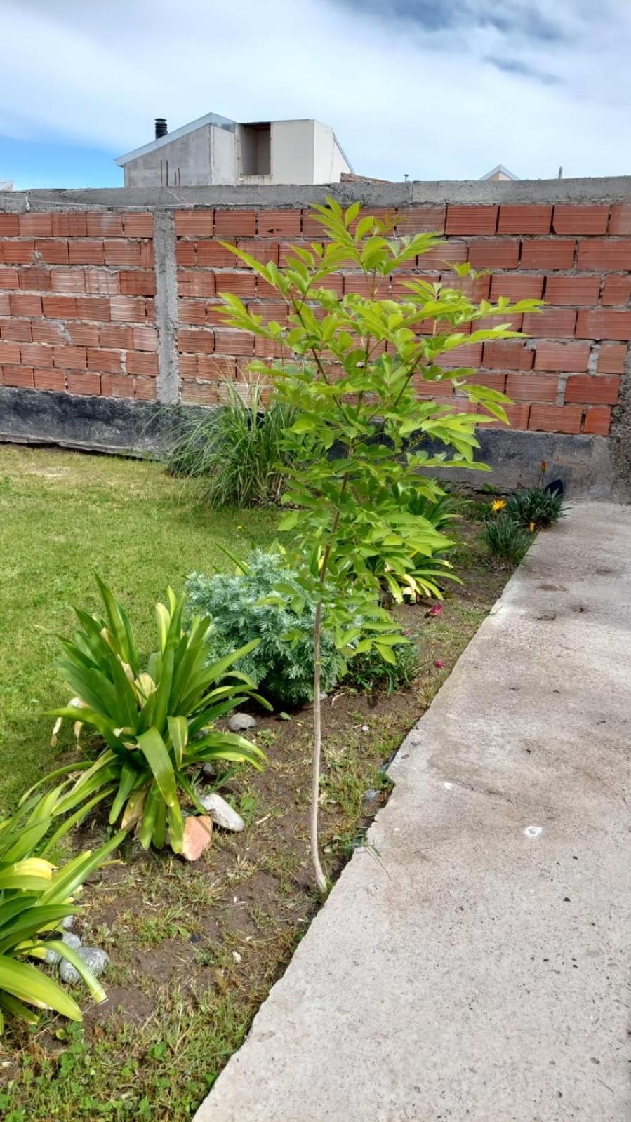 Habitacion Privada En La Casa De Thor Trelew Exterior foto