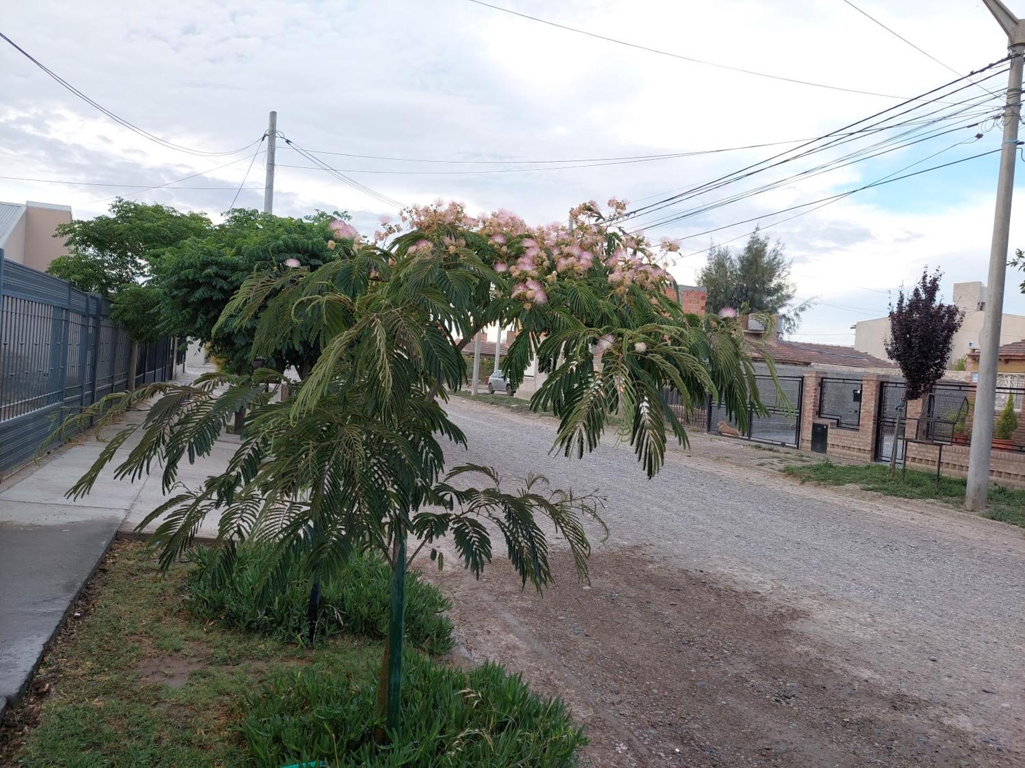 Habitacion Privada En La Casa De Thor Trelew Exterior foto