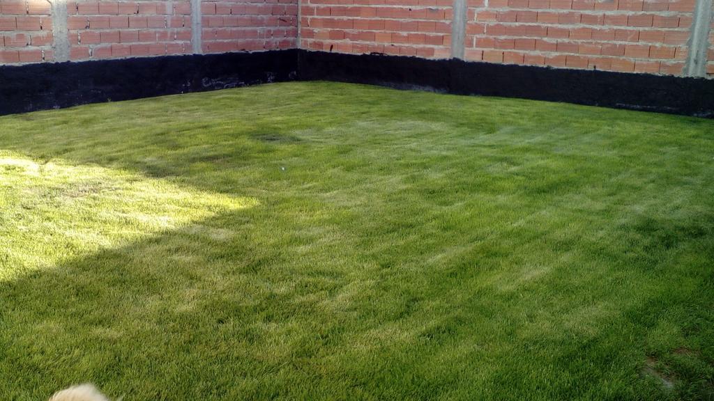 Habitacion Privada En La Casa De Thor Trelew Exterior foto